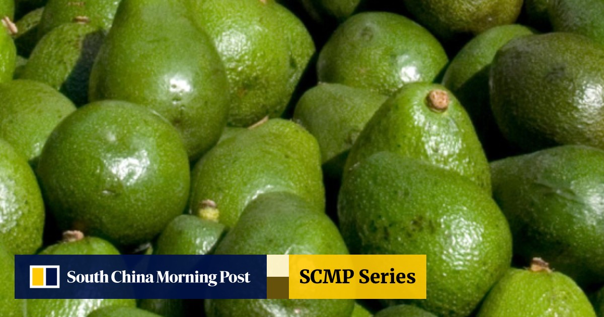 Why some people say we shouldn't eat avocados – bees' labour was exploited  to grow them | South China Morning Post